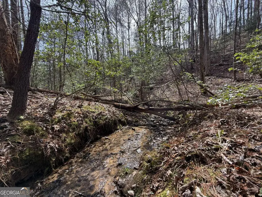 0 Bayou Drive, Ellijay, GA 30540 - #2