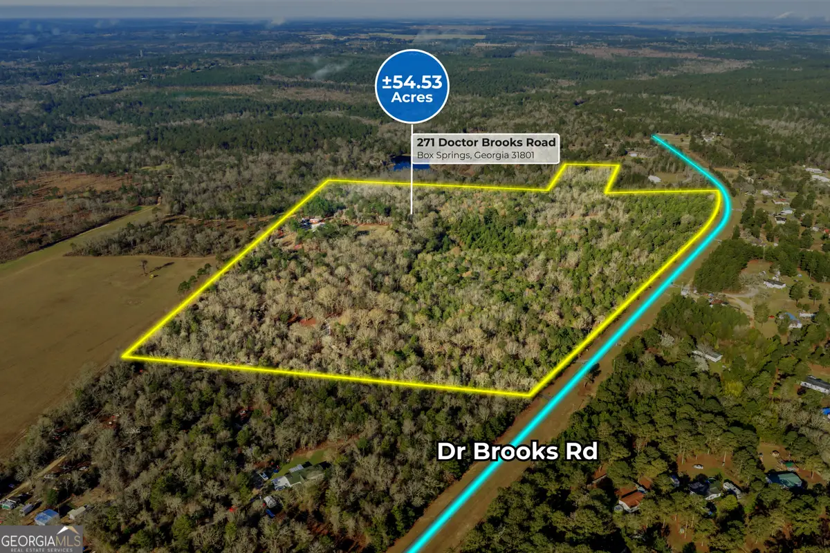 271 Dr Brooks Road, Box Springs, GA 31801 - #1