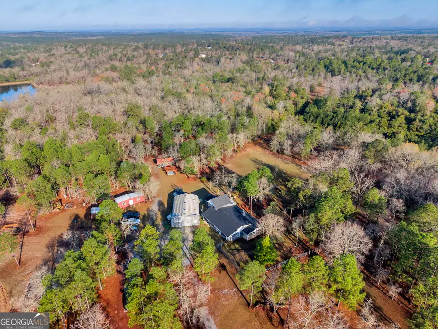 271 Dr Brooks Road, Box Springs, GA 31801 - #3