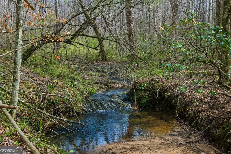 2335 Stonepile Road #LOT 2, Clarkesville, GA 30523 - #3