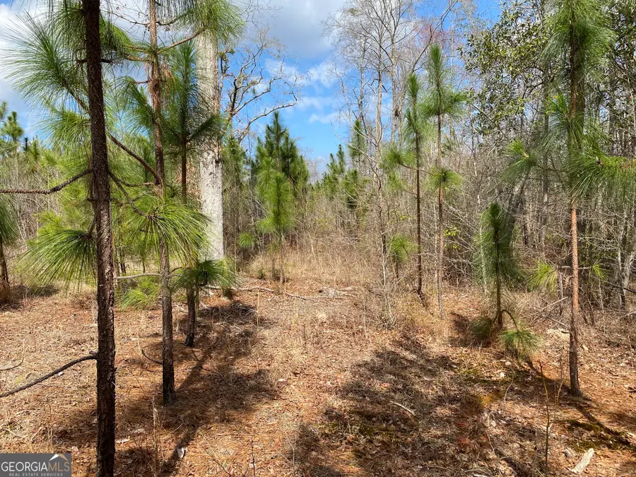 0 Baker Road, Waverly Hall, GA 31831 - #2