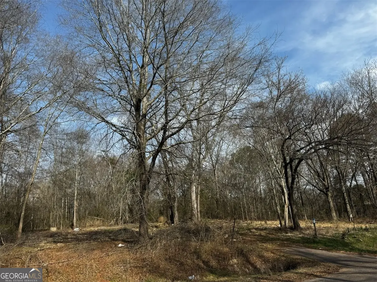 135 Joe Carey Road, Winterville, GA 30683 - #1