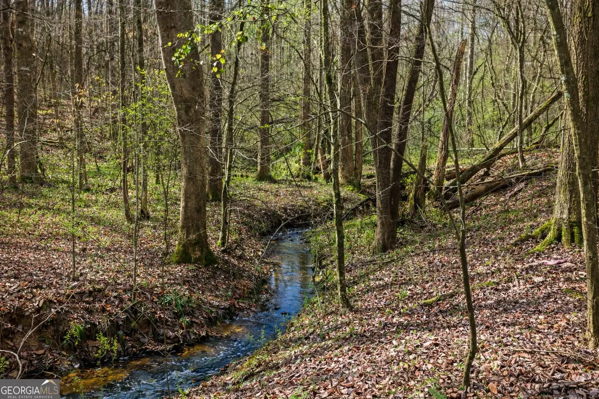 2325 Stonepile Road #LOT 3, Clarkesville, GA 30523 - #1