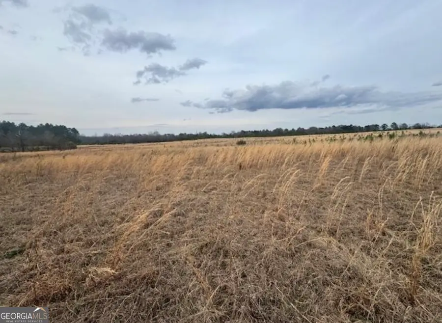 0 Mark Wood Rd. (lot 3), Dexter, GA 31019 - #3