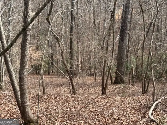 0 Ashley Drive, Cleveland, GA 30528 - #2