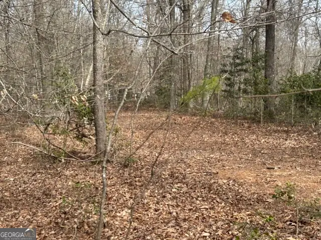 0 Ashley Drive, Cleveland, GA 30528 - #3