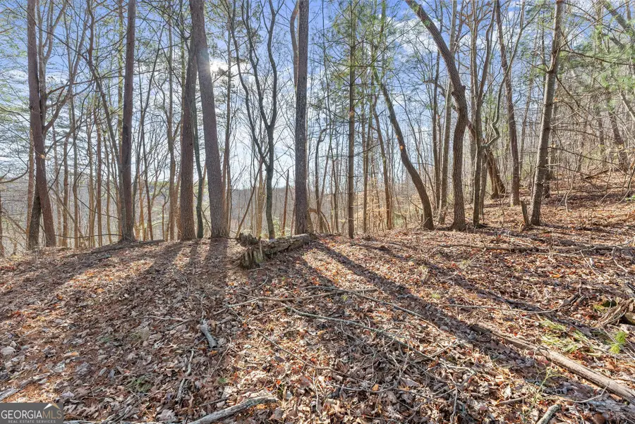LOT 6 Sweet Apple Lane, Dahlonega, GA 30533 - #2
