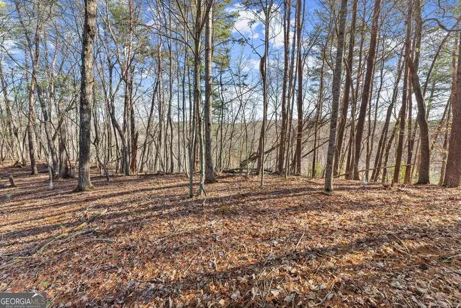 LOT 6 Sweet Apple Lane, Dahlonega, GA 30533 - #3