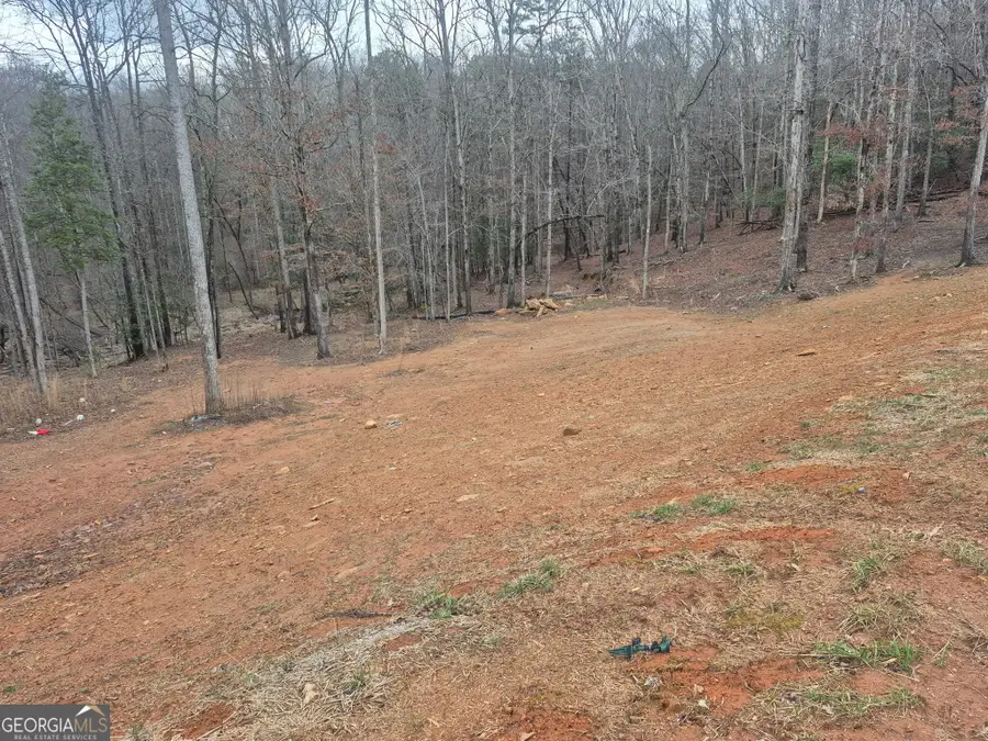 606 Old River Road, Cornelia, GA 30531 - #3