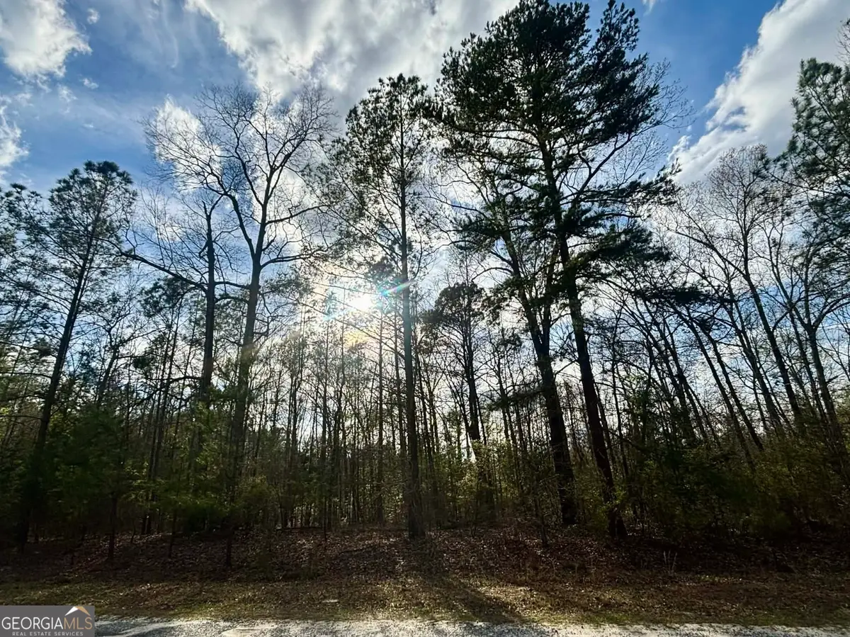 676 Tayler Paige Drive, Box Springs, GA 31801 - #1