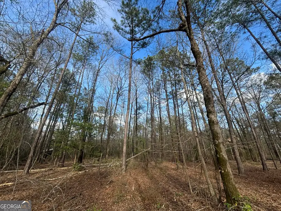 676 Tayler Paige Drive, Box Springs, GA 31801 - #2