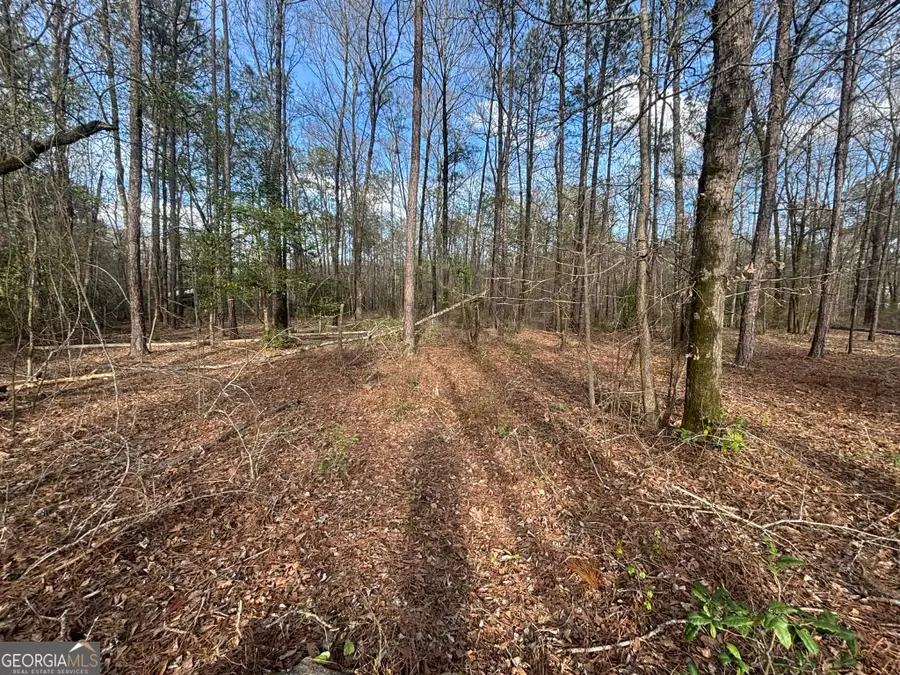 676 Tayler Paige Drive, Box Springs, GA 31801 - #3