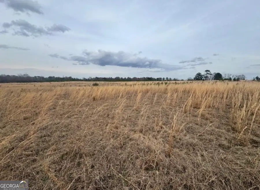 0 Mark Wood Rd (lot 4), Dexter, GA 31019 - #3