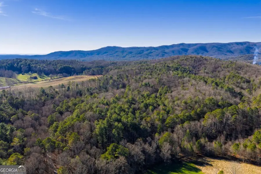 17.29 AC Pleasant Oak Trail #5 PART OF, Ellijay, GA 30540 - #2