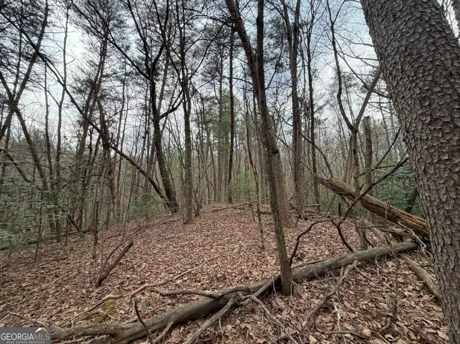 17.29 AC Pleasant Oak Trail #5 PART OF, Ellijay, GA 30540 - #3