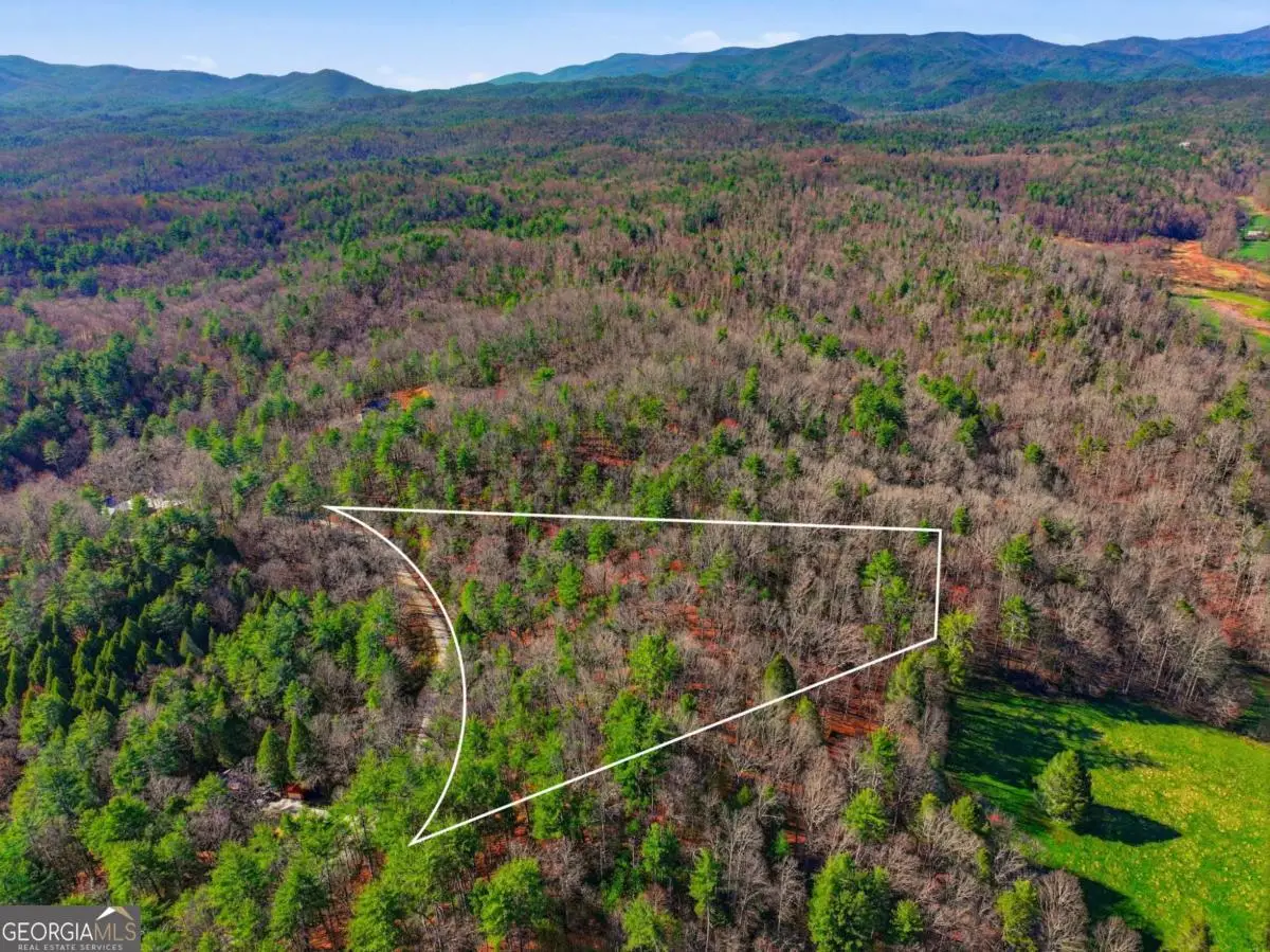 LOT 24 Pickett Mill Lane, Ellijay, GA 30540 - #1