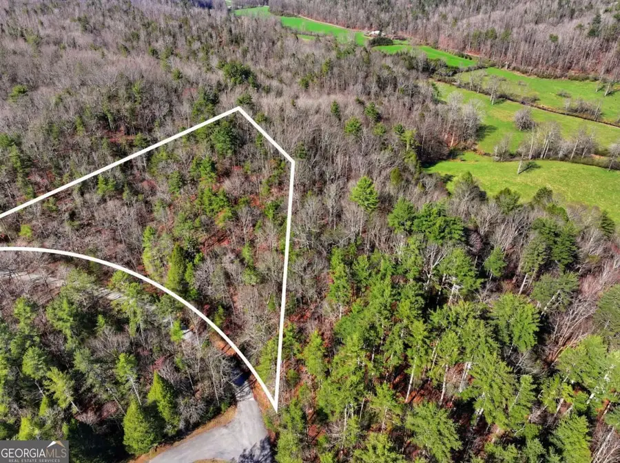LOT 24 Pickett Mill Lane, Ellijay, GA 30540 - #3