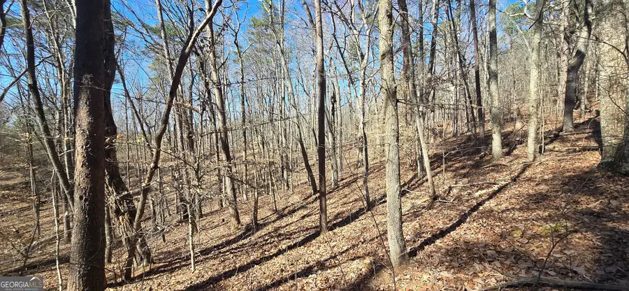 TRACT 2 Friendship Trail, Talking Rock, GA 30175 - #2