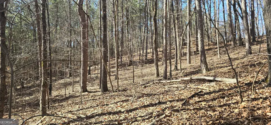 TRACT 2 Friendship Trail, Talking Rock, GA 30175 - #3