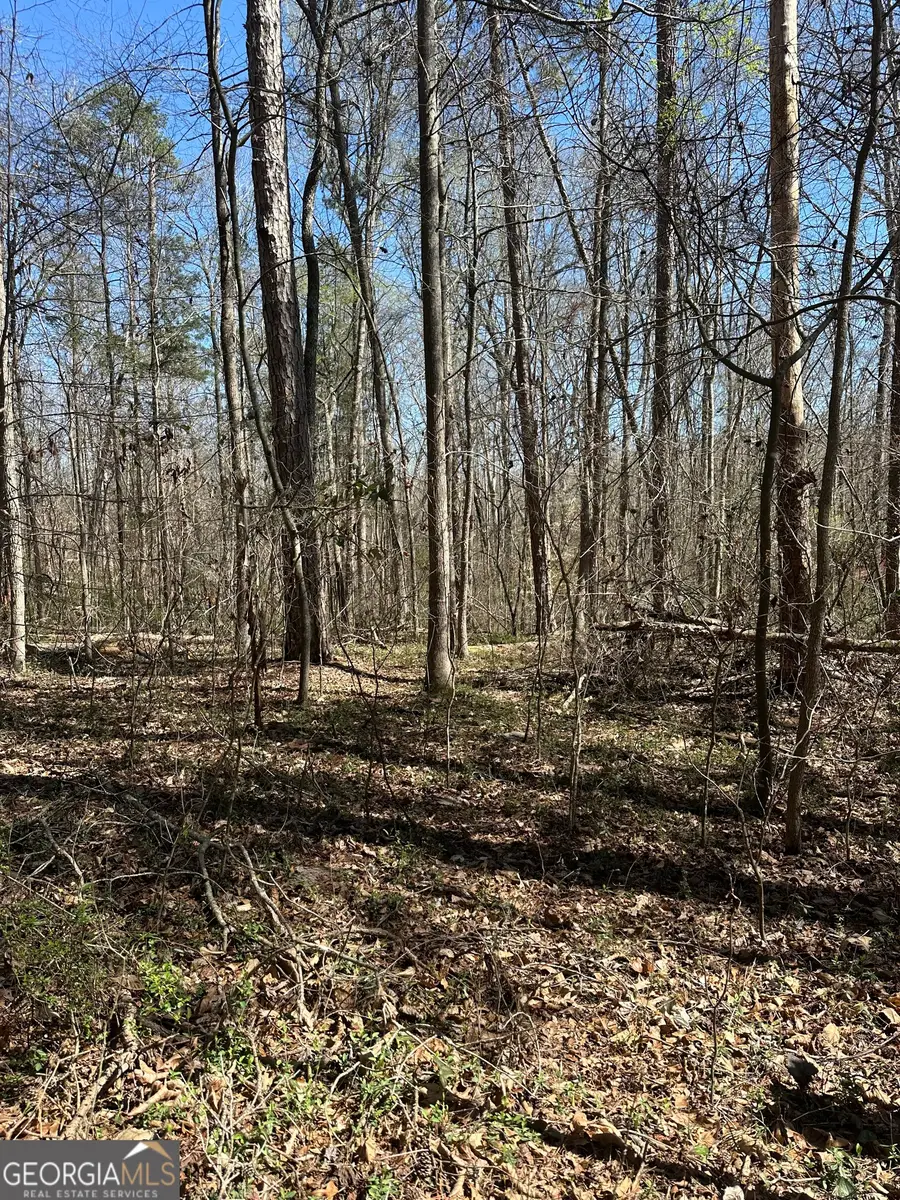 0 Poplar Mountain Lane, Carnesville, GA 30521 - #2