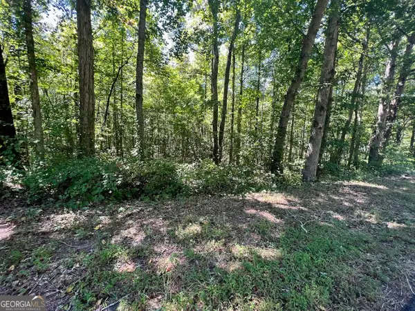 0 Old Draketown Trail (5.62 Ac), Temple, GA 30179