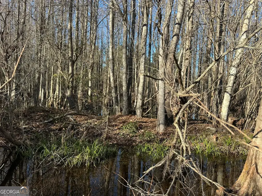 008 Sealy Wells Road, Gordon, AL 36343 - #3