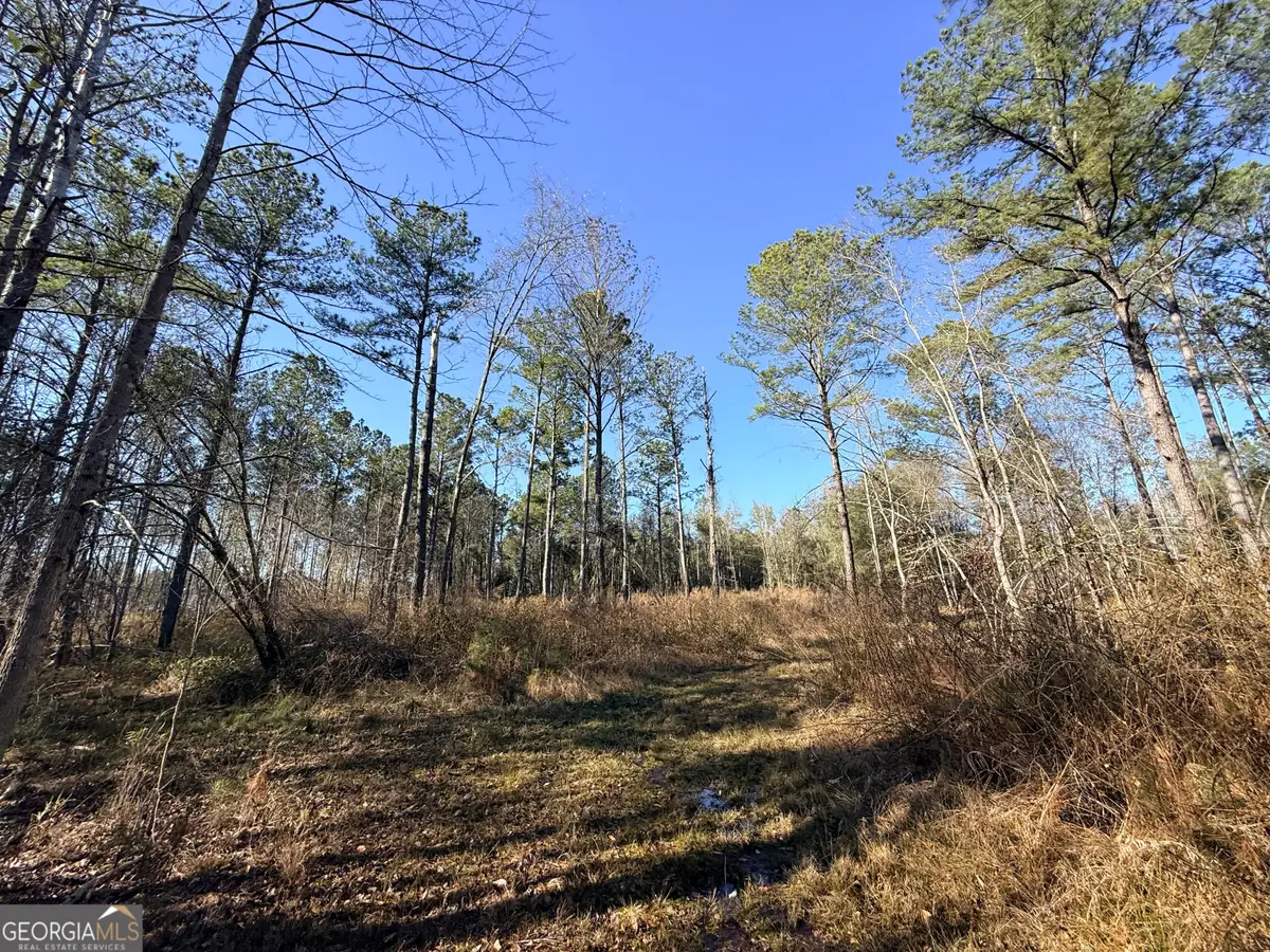 4 Sun Hill Grange Road, Davisboro, GA 31018 - #1