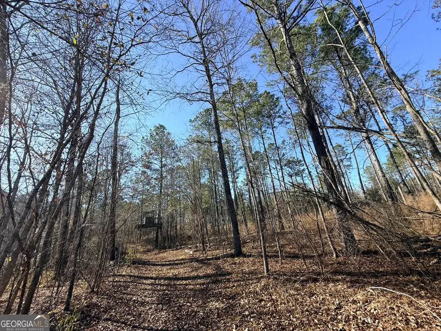 4 Sun Hill Grange Road, Davisboro, GA 31018 - #3