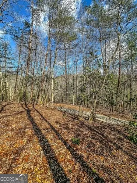 0 Ts Jarrard Road, Dahlonega, GA 30533 - #2