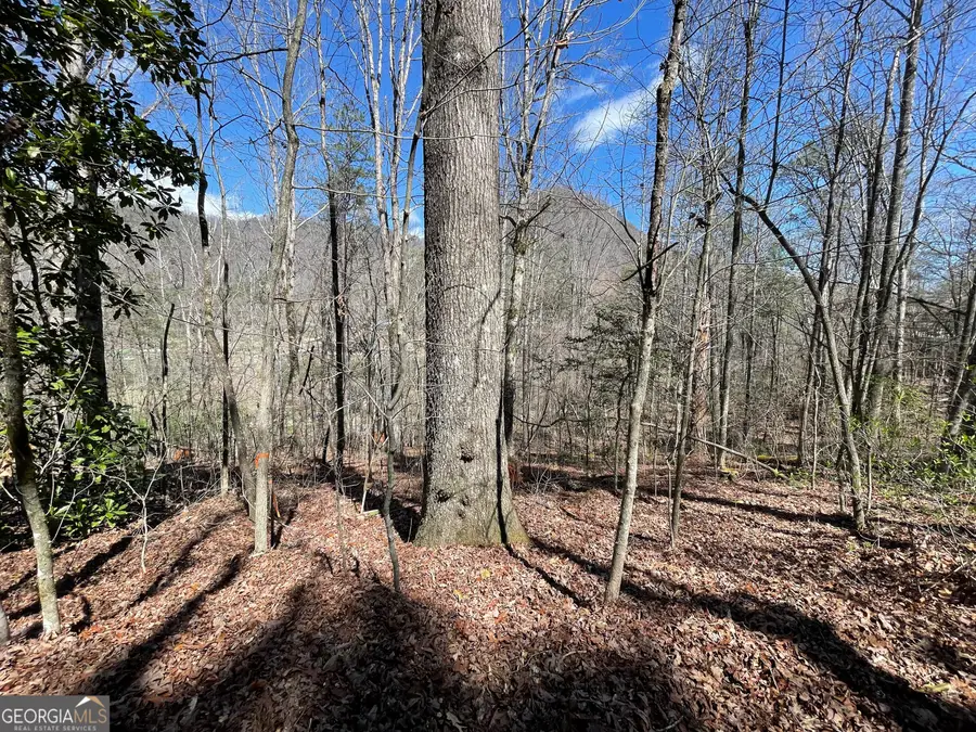 0 Bridge Creek Rd, Tiger, GA 30576 - #2