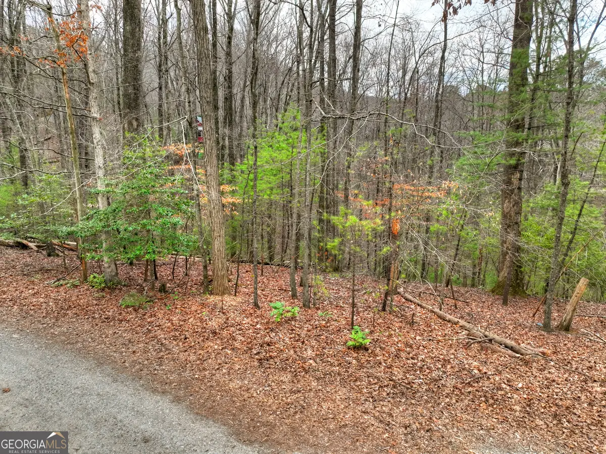 0 Ridge View Court, Ellijay, GA 30536 - #1