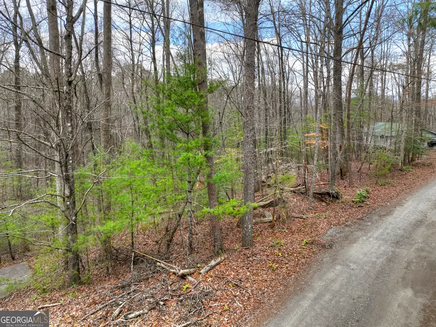 0 Ridge View Court, Ellijay, GA 30536 - #3
