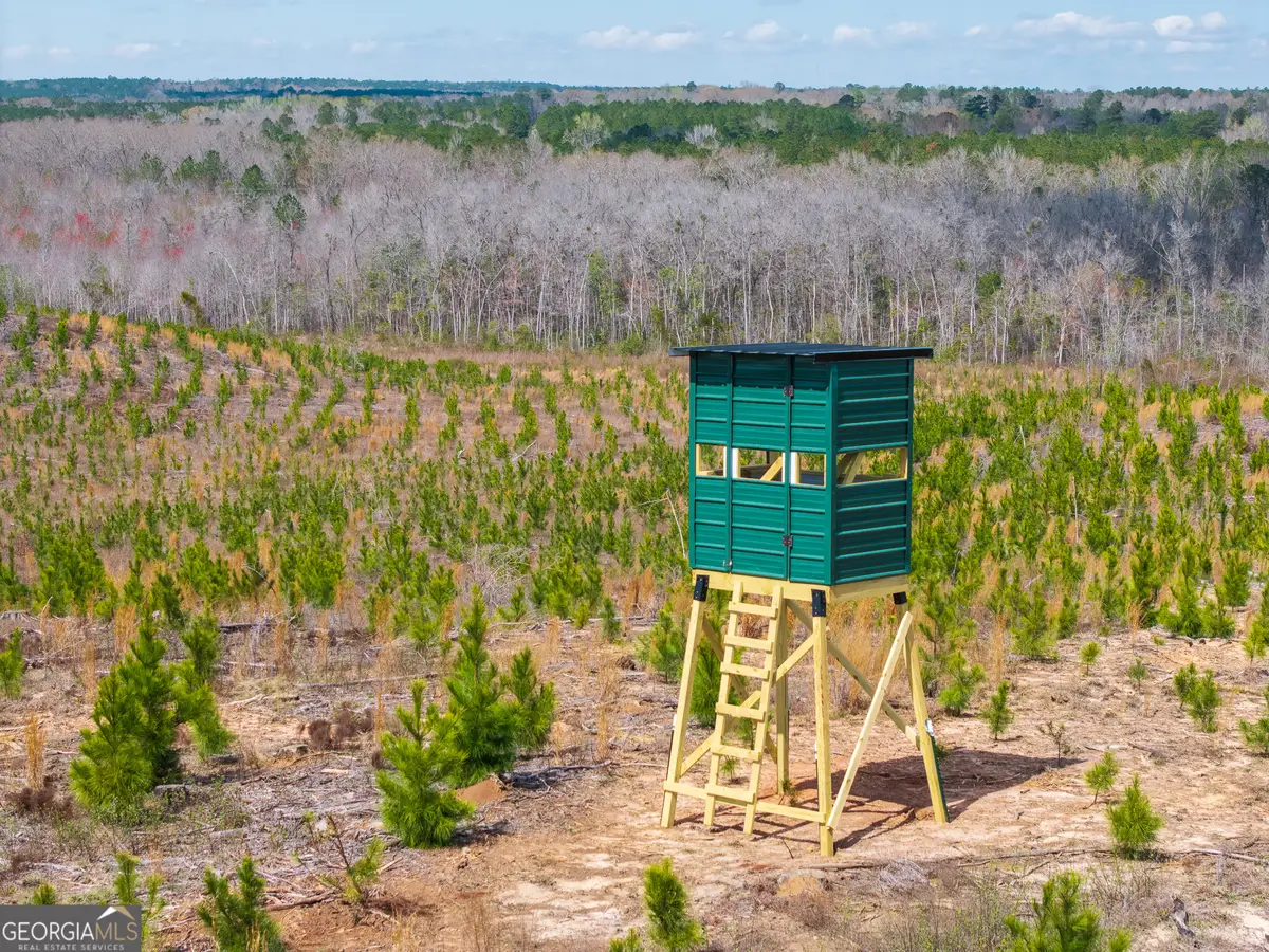 3 Laurel Branch Road, Gordon, GA 31031 - #1