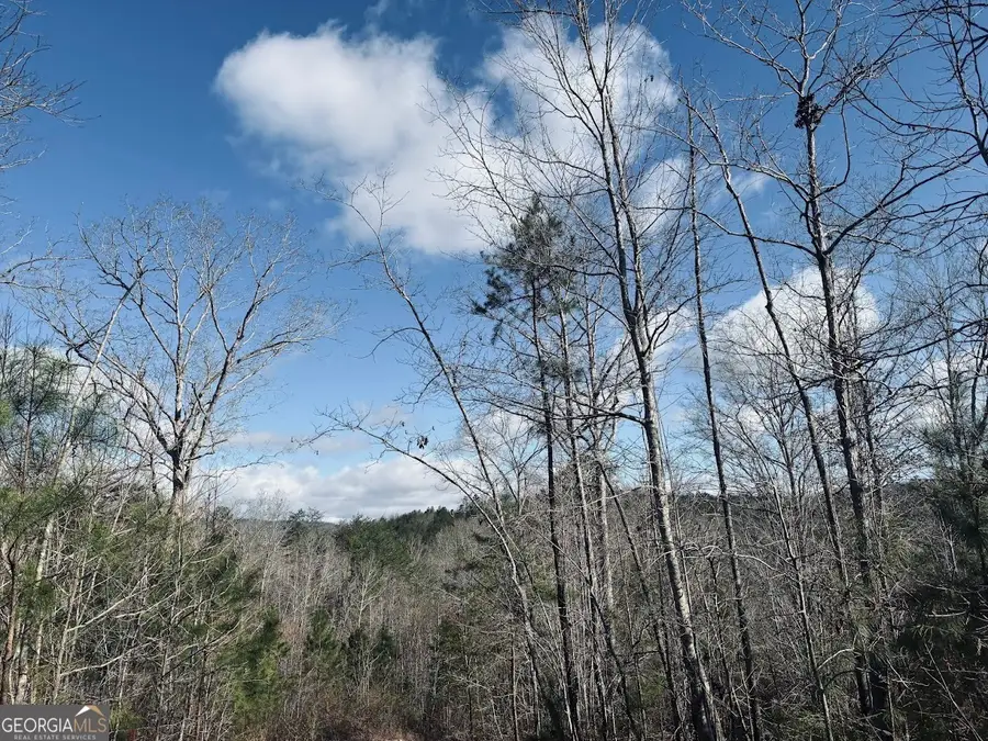 0 County Road 709, Valley Head, AL 35989 - #2