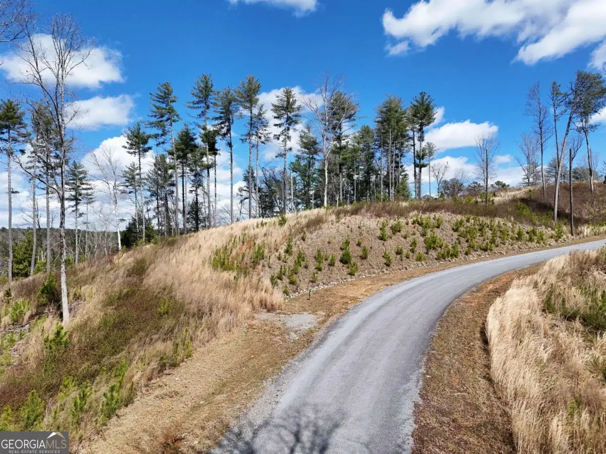 LOT 253 High River Crossing, Ellijay, GA 30540 - #1