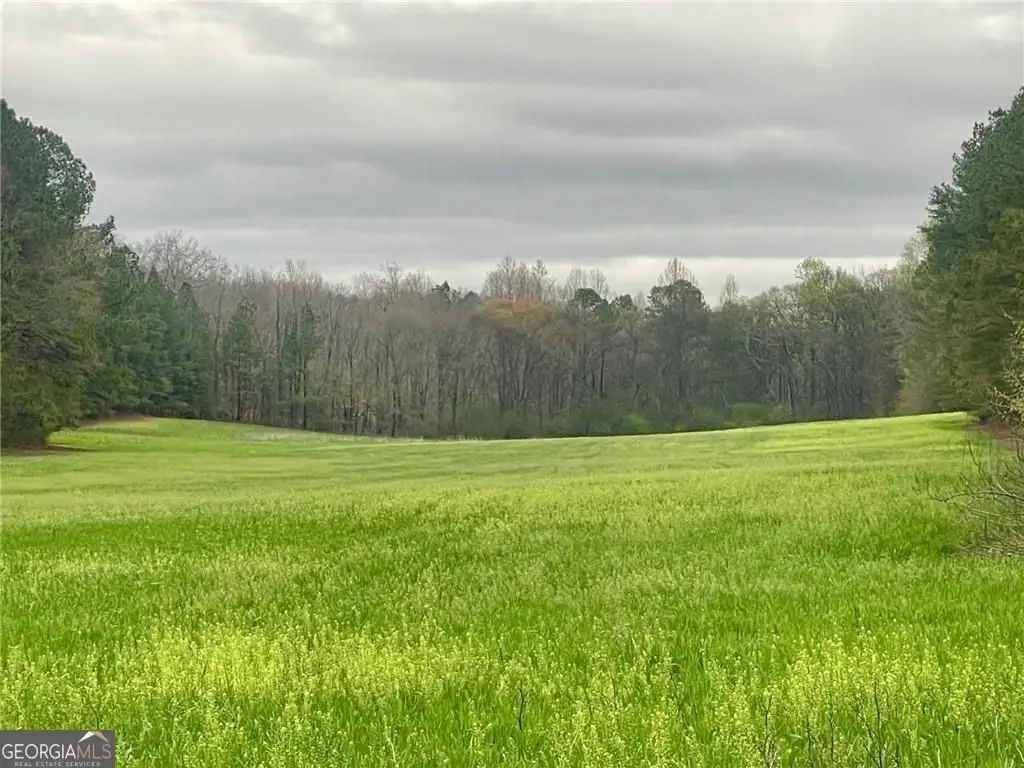 0 Cleveland Highway, Cohutta, GA 30710 - #1