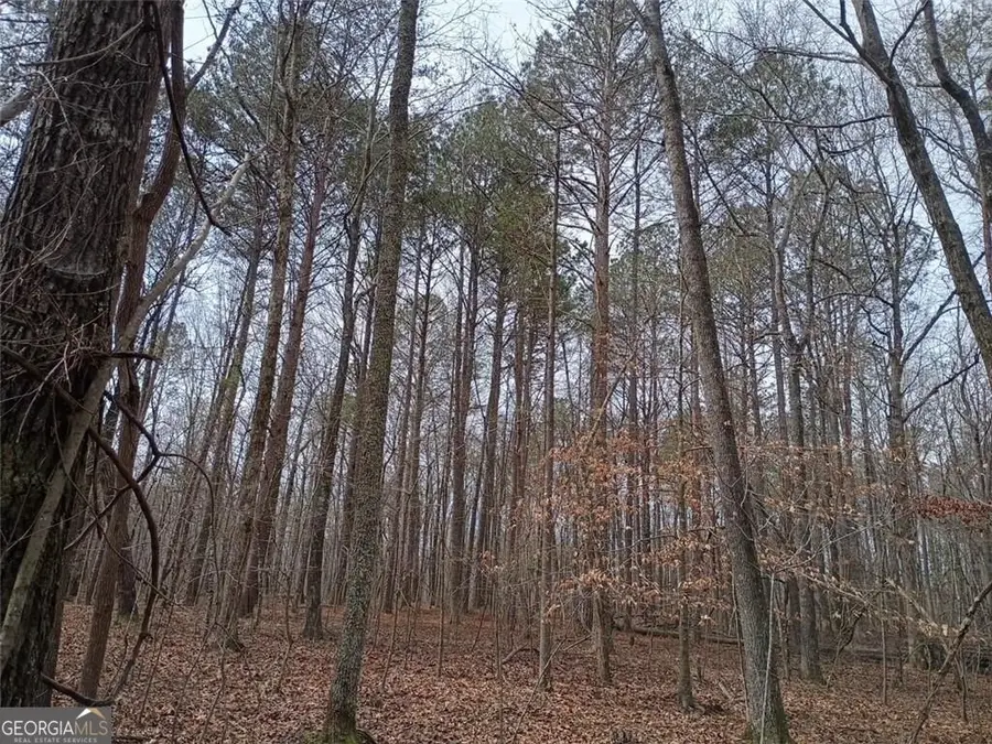 0 Cleveland Highway, Cohutta, GA 30710 - #2