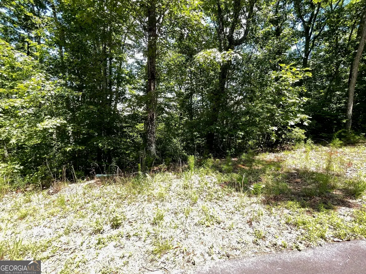 LOT 20 Fodder Creek Mill Drive, Hiawassee, GA 30546 - #1