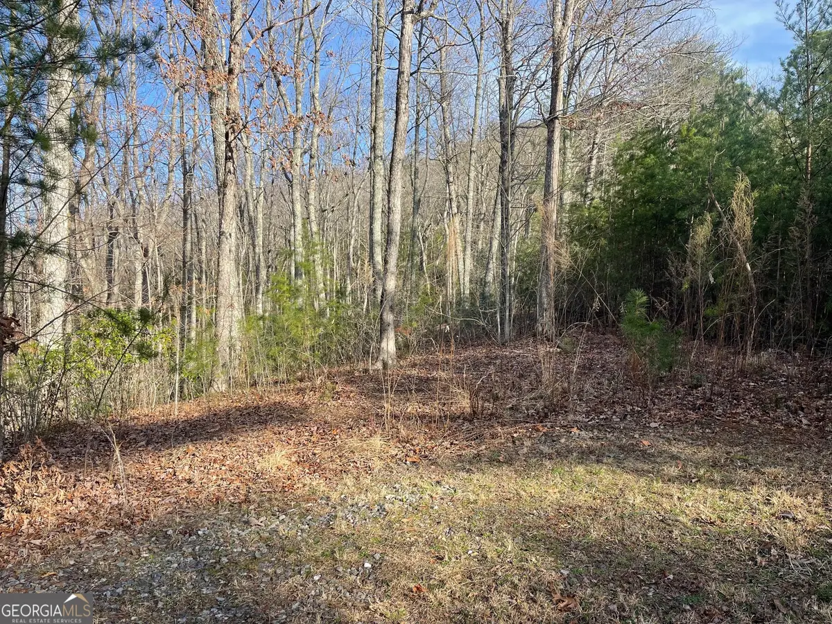 LOT 14 Big Cove Drive, Hiawassee, GA 30546 - #1