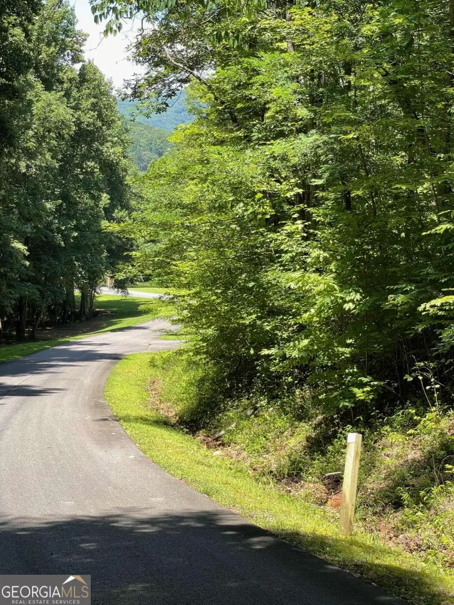 LOT 14 Big Cove Drive, Hiawassee, GA 30546 - #3