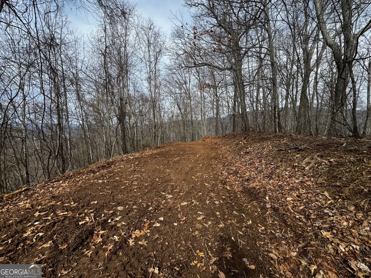 20 ACRES Burnt Leaf Lane, Hayesville, NC 28904 - #1