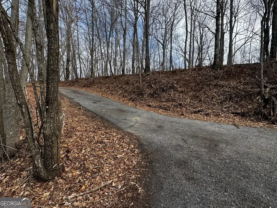 20 ACRES Burnt Leaf Lane, Hayesville, NC 28904 - #3