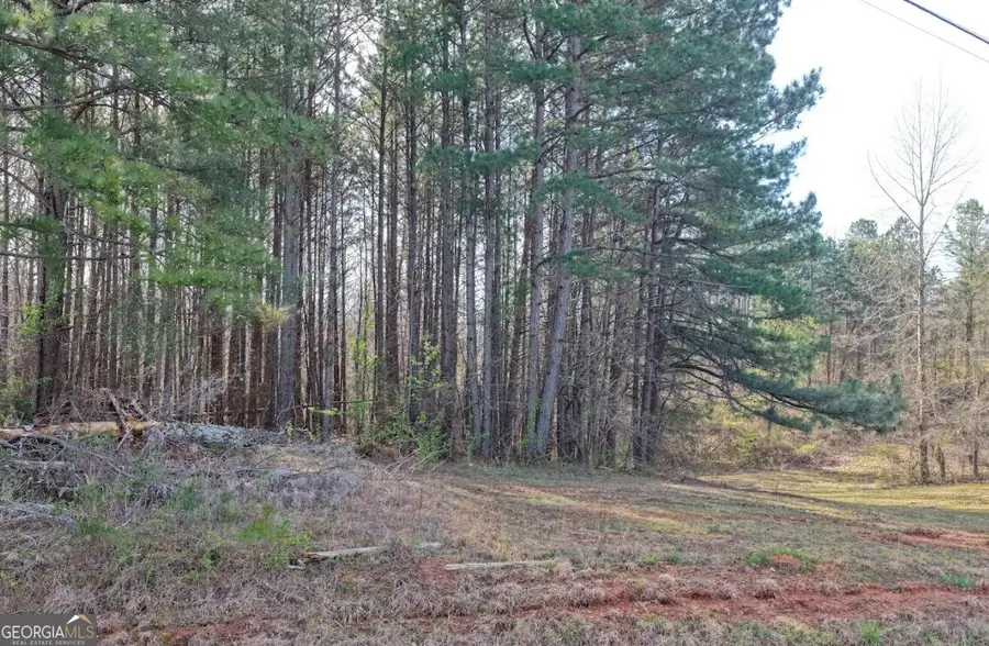 0 County Hwy 106, Bear Creek, AL 35543 - #3