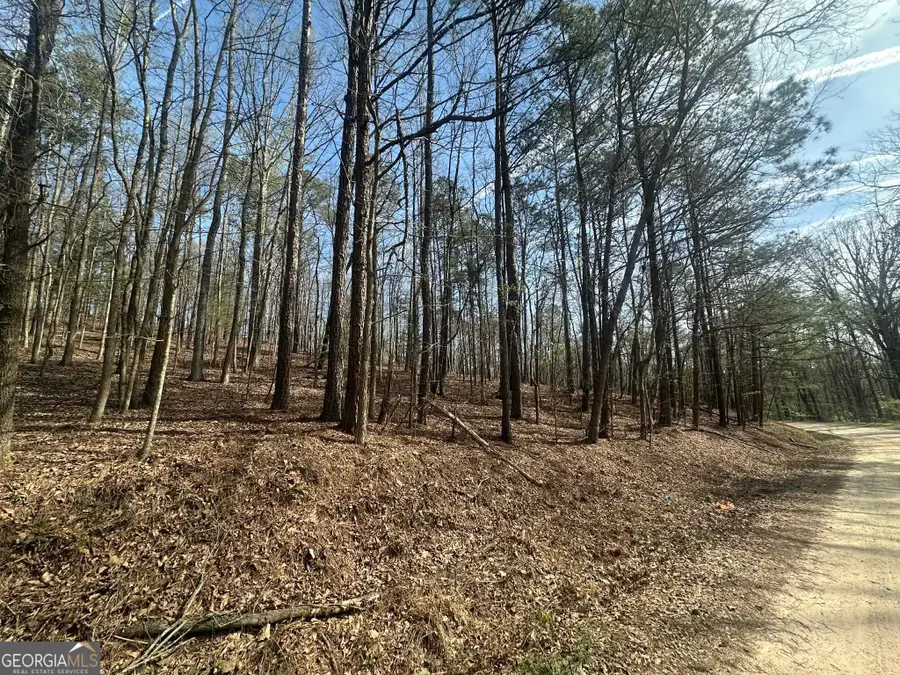 134 Bankston Road, Meansville, GA 30256 - #2