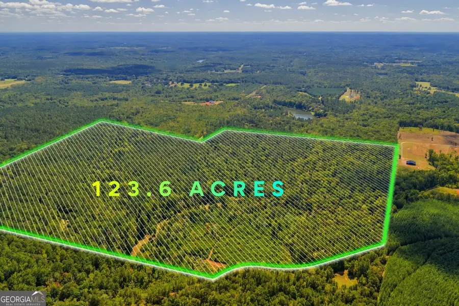 0 Abercrombie Road, Forsyth, GA 31029 - #2