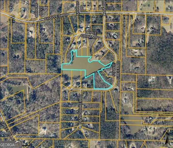 165 Staple Creek Road, Fayetteville, GA 30215