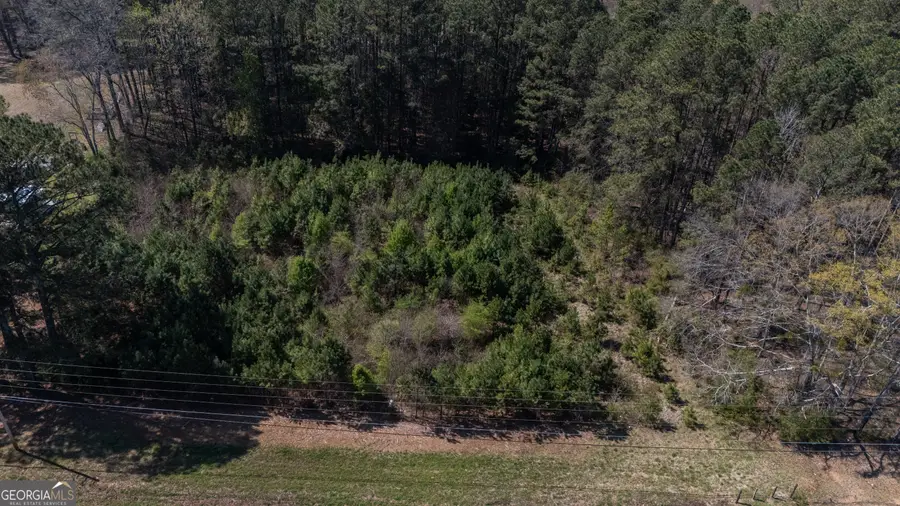 0 East Of Burch Road, Fayetteville, GA 30215 - #3