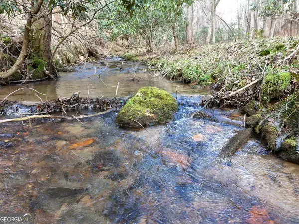 LOT 44A Synacia Drive, Mineral Bluff, GA 30559