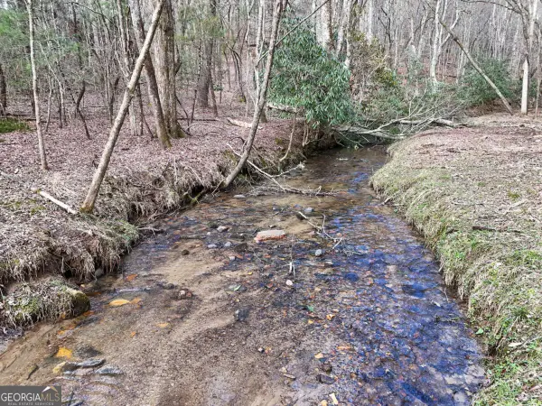 LOT 45B Synacia Drive, Mineral Bluff, GA 30559