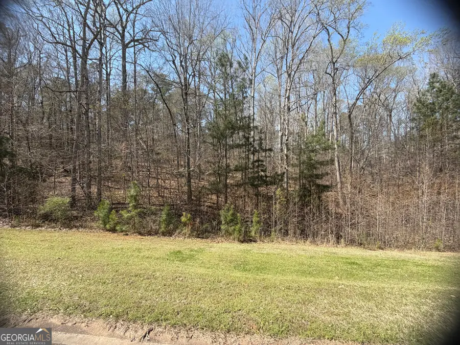 506 Forest Pointe Drive, Forsyth, GA 31029 - #2